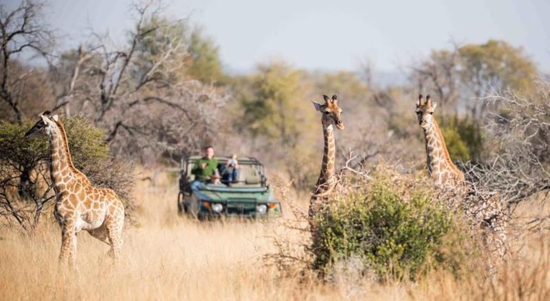 Mziki Safari Lodge Beestekraal  Exteriér fotografie
